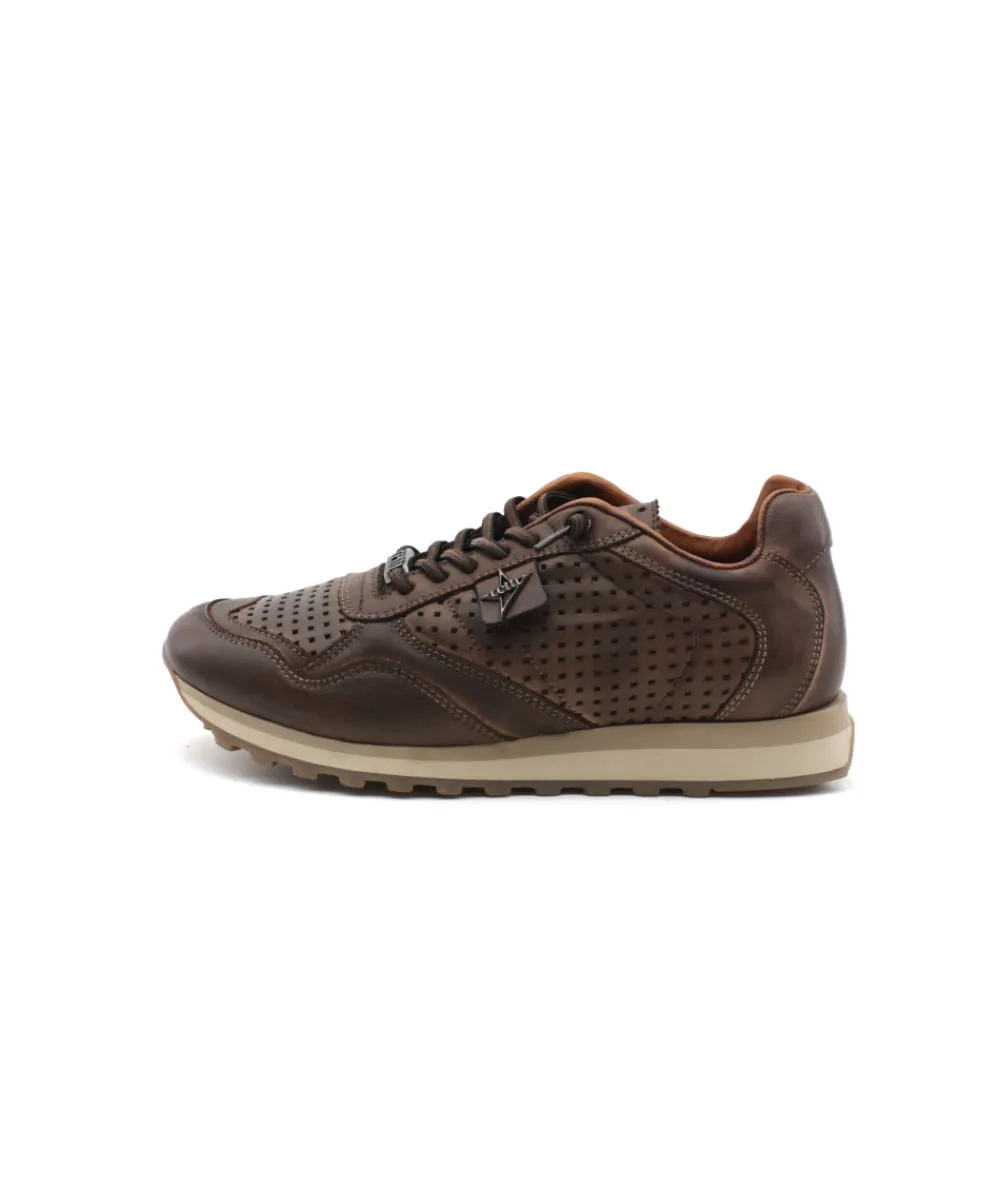 Baskets | L'Empreinte Chaussures CETTI C848 marron