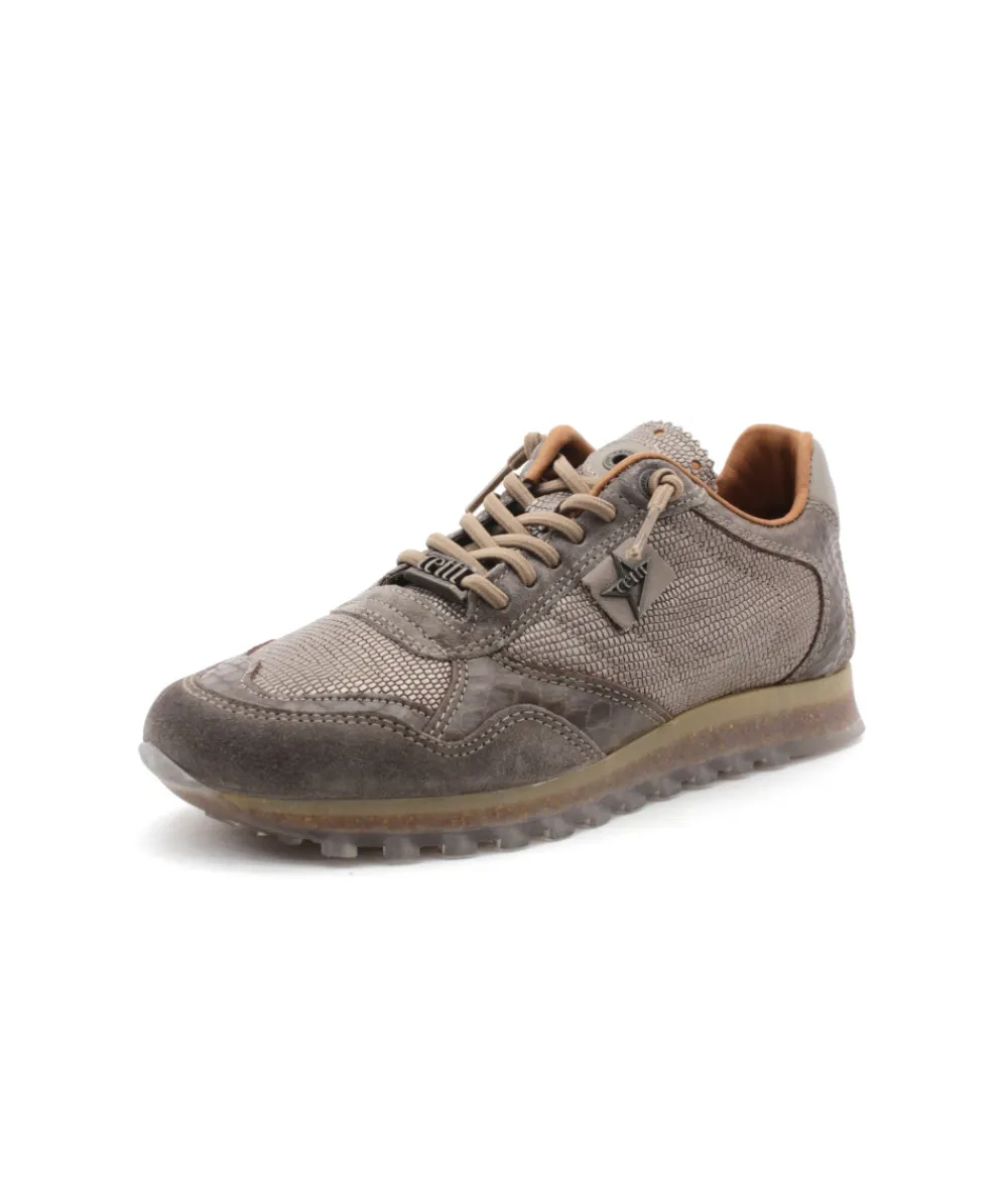 Baskets | L'Empreinte Chaussures CETTI C848 SRA ANTE TEJUS taupe