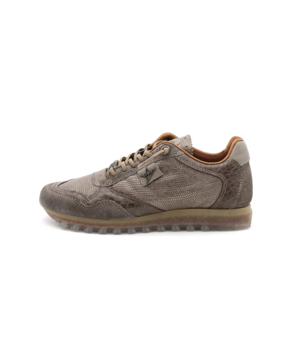 Baskets | L'Empreinte Chaussures CETTI C848 SRA ANTE TEJUS taupe