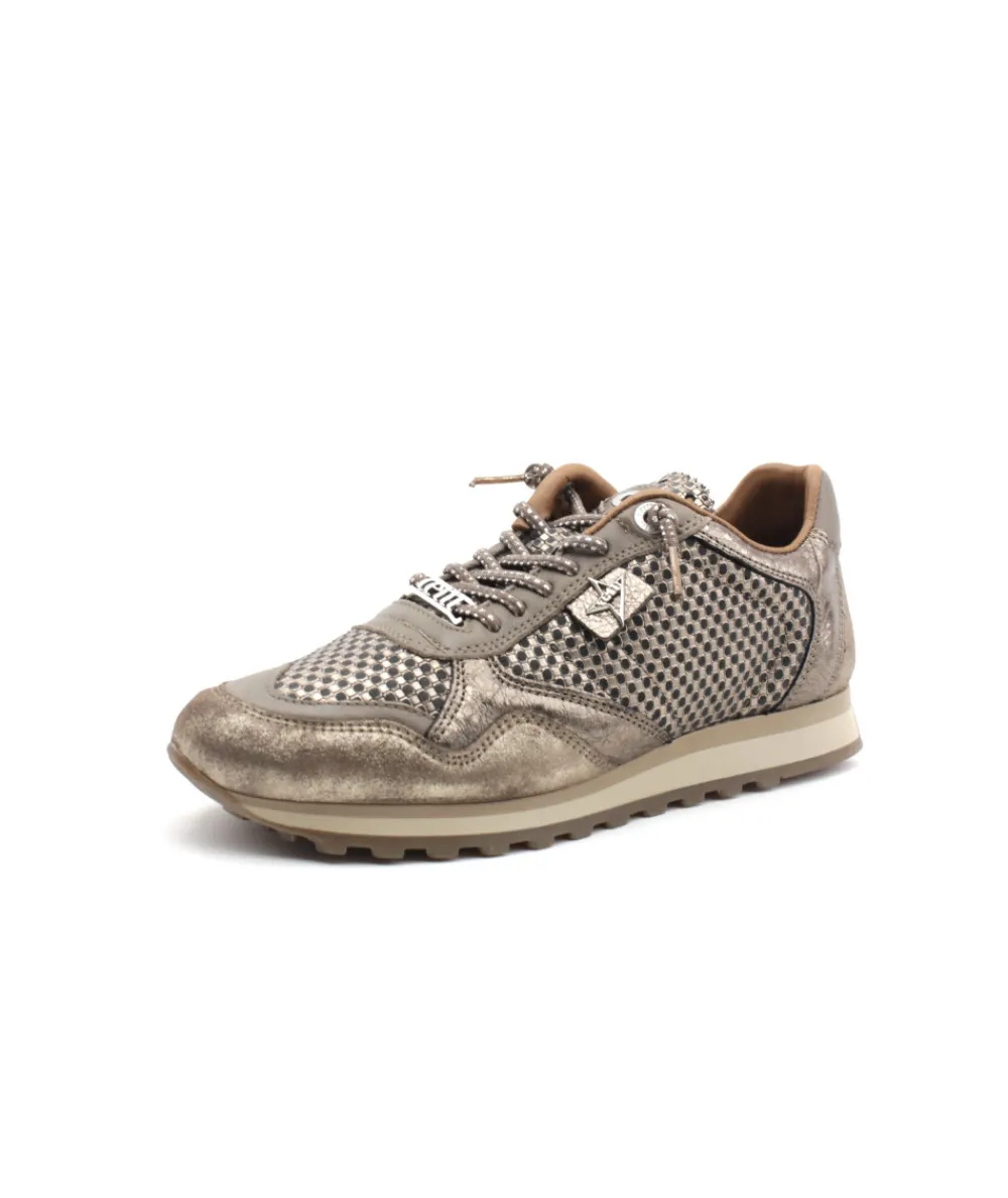 Baskets | L'Empreinte Chaussures CETTI C848 SRA TRECHIA taupe