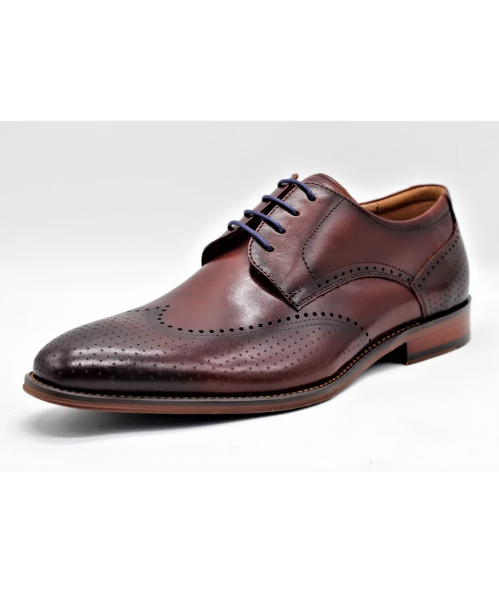 Chaussures À Lacets | L'Empreinte Chaussures DIGEL SELLENG Marron fonce