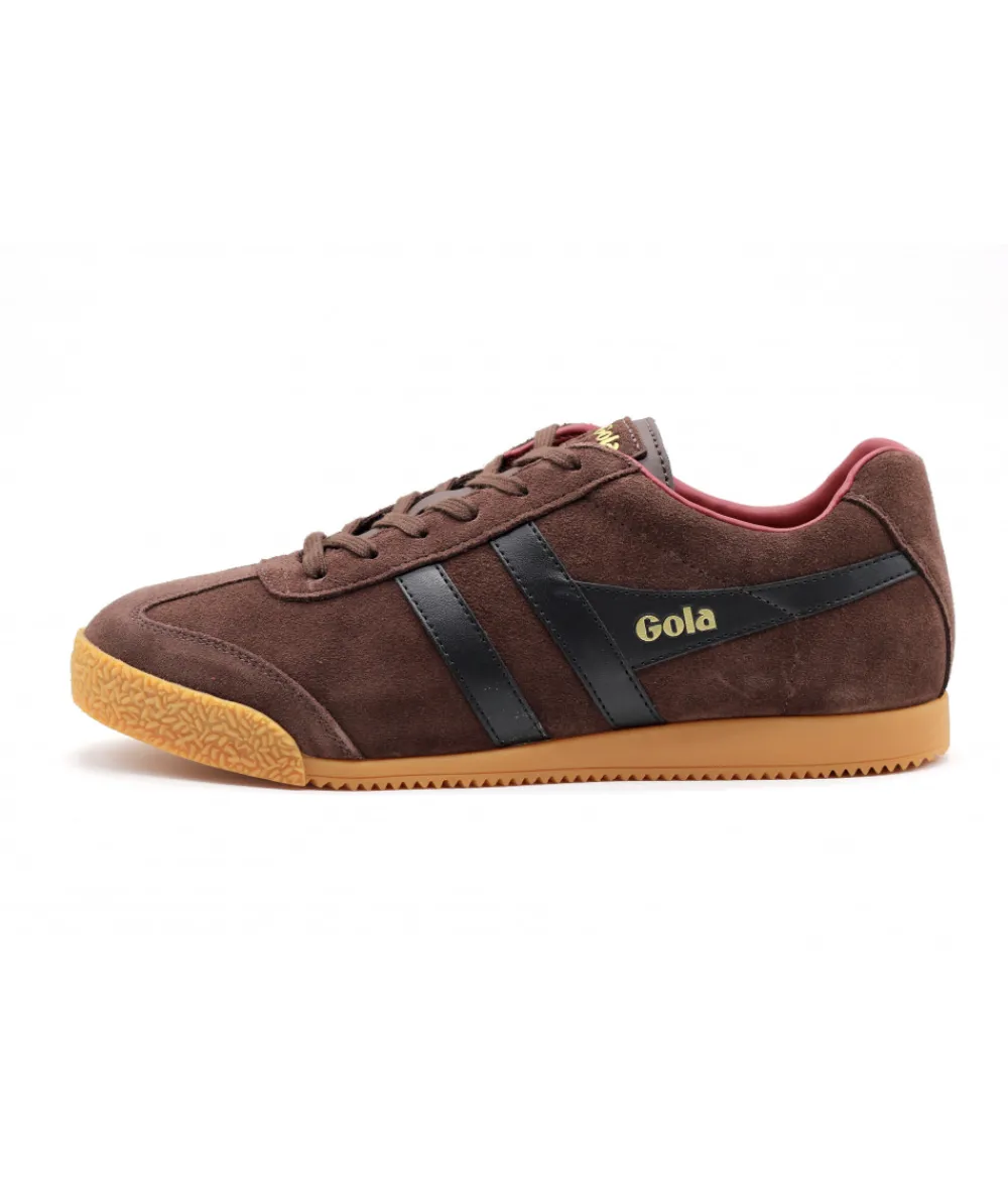 Baskets | L'Empreinte Chaussures GOLA HARRIER SUEDE marron