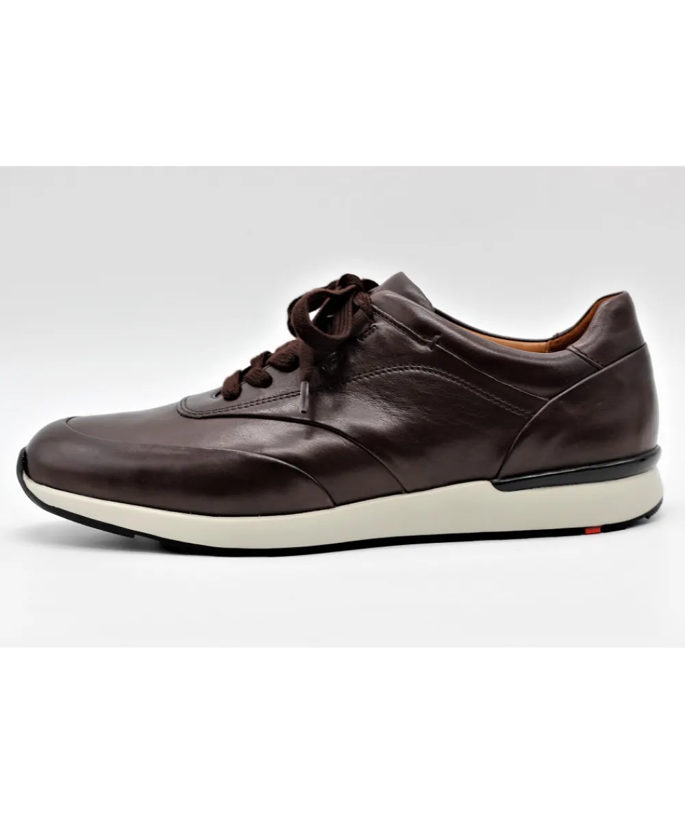 Baskets | L'Empreinte Chaussures LLOYD AJAS marron